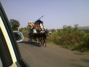 photo by Jahnavi Koushik