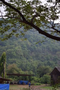Truckers Tavern a sudden flat land for drivers to rest