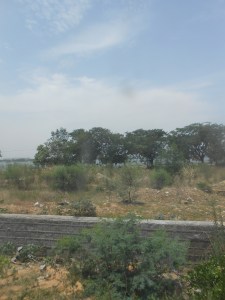 view from the train