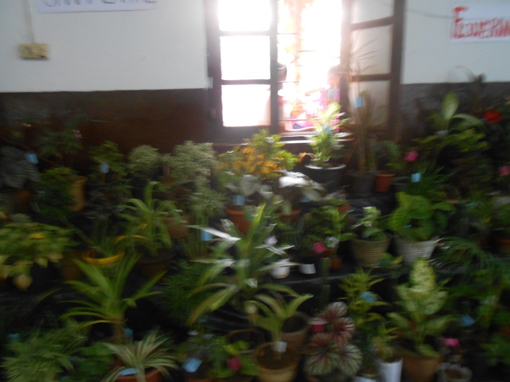 Plants, Mole and&nbsp;Psychology