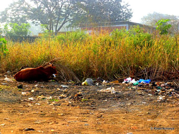 A long way to swachh India