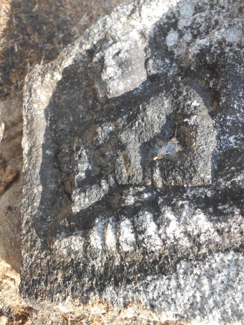 Sammohan Vs.Vashikaran.. trying to understand&nbsp;this.