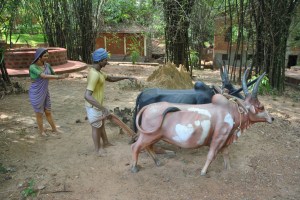 traditional occupation farming