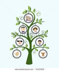 family tree