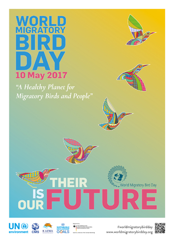 The World Migratory Birds&nbsp;Day