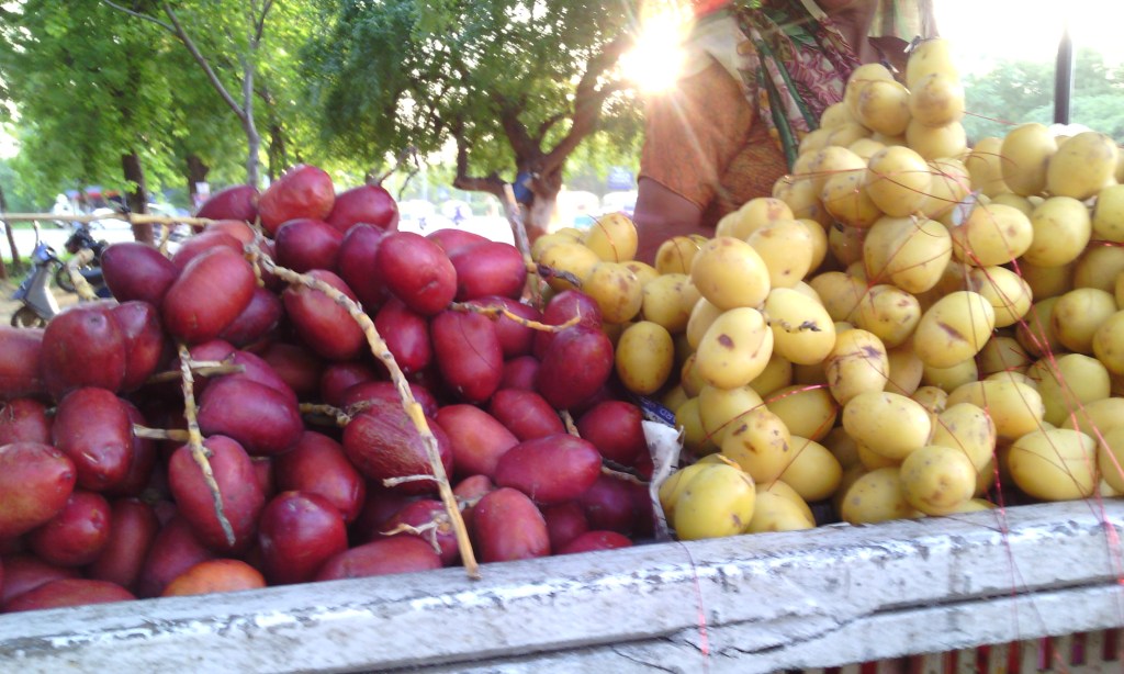 Discovering Date Berries