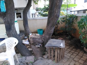 tree house pune