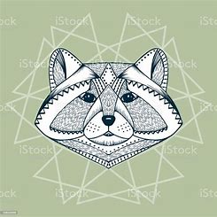 The Raccoon Teacher.